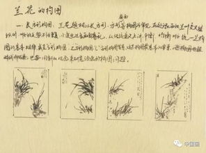 芦芽梅子的梅怎么组词