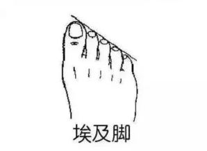 倾斜的鞋还可以怎么组词