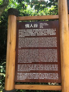 情人的情字可以怎么组词
