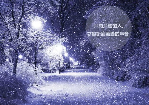 雪夜的雪可以怎么组词