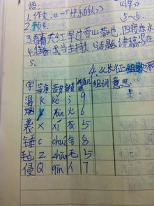 用意思相近的字组词