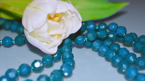 玻璃的璃可以怎么组词