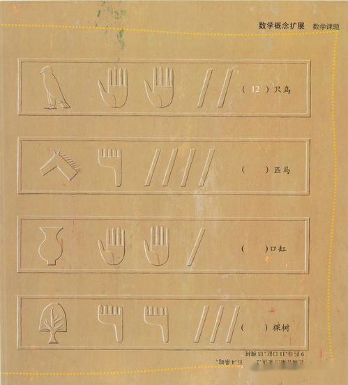 数数的数怎么组词