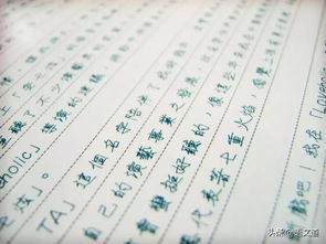 东南西北的怎么组词