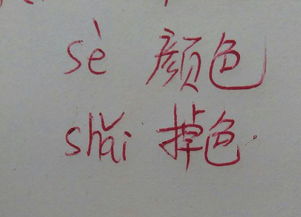 伴字组词怎么加拼音 伴字组词怎么加拼音