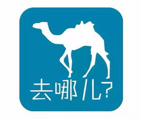 参加的家可以怎么组词