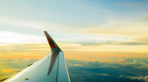 随风飘拂的拂怎么组词