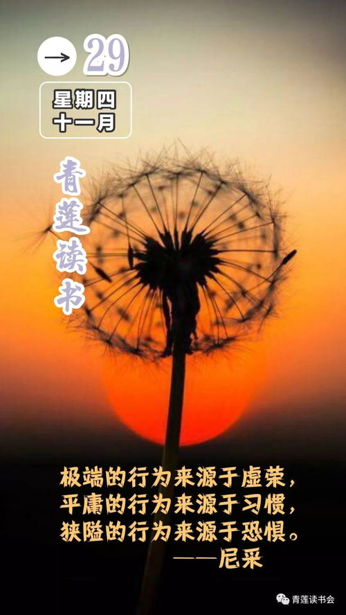 随风飘拂的拂怎么组词