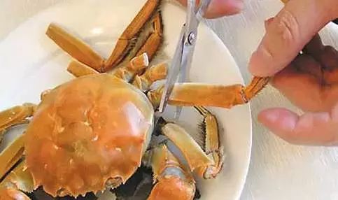 蟹的螃怎么组词