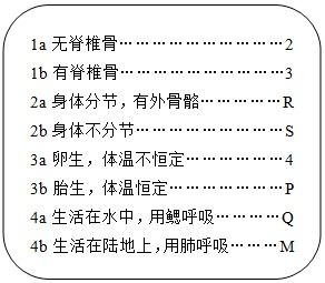 同学总开黄腔怎么组词的简单介绍