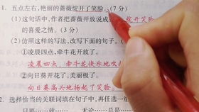 怎么组词粒