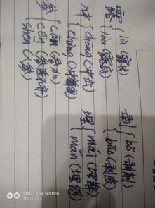 泡字多音字组词