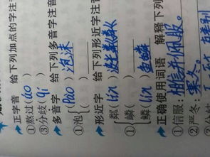 泡字多音字组词