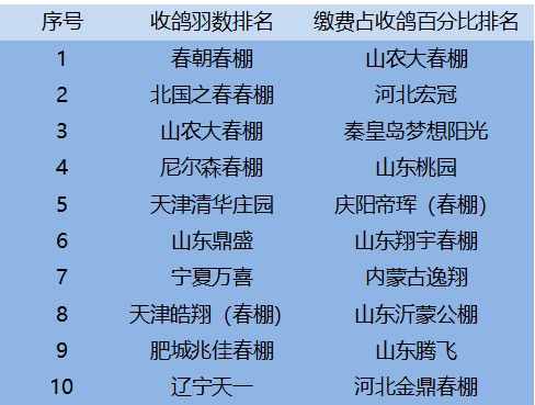 公加羽怎么组词