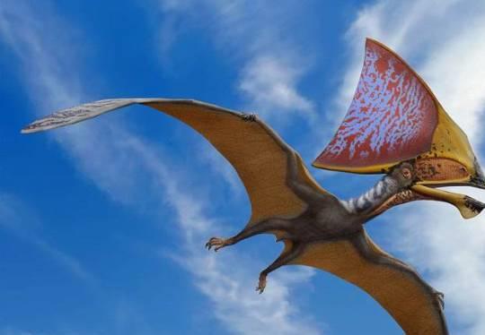 翼龙的一亿怎么组词