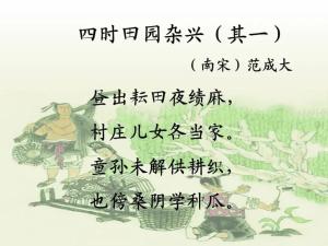 田园杂兴的杂怎么组词