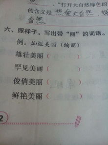 组词美丽的丽怎么组词