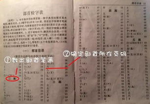 甘怎么查字典部首组词