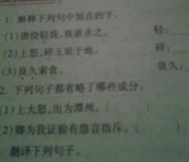 省略的略组词 省略的略组词