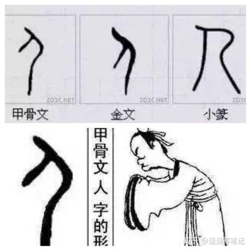 弯腰的腰组词 弯腰的腰组词