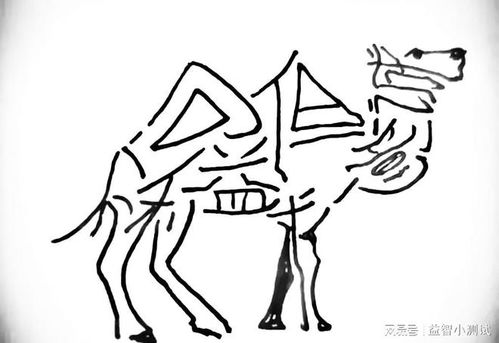 骆驼是怎么组词