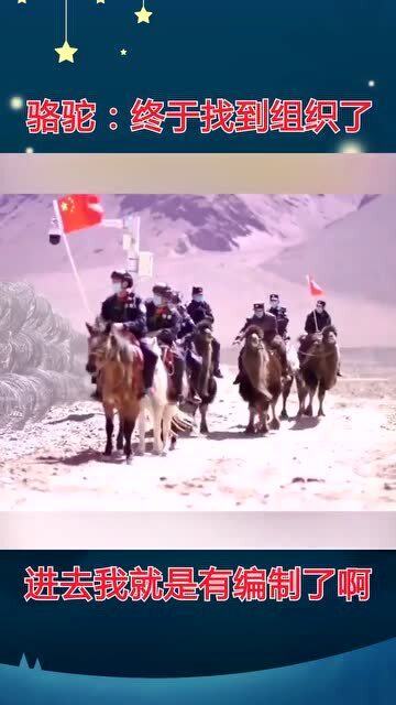 骆驼是怎么组词