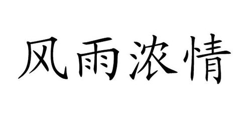 风雨组词