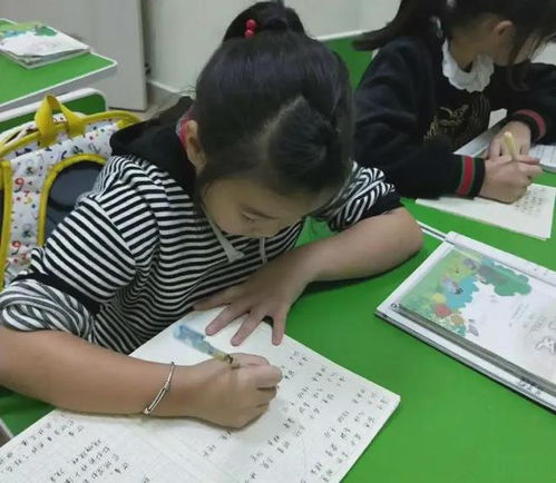 划怎么组词多音字