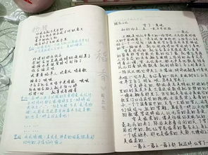 铺满阳光的铺字怎么组词