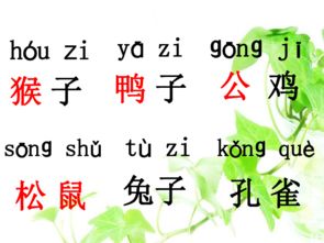 比尾巴组词怎么组