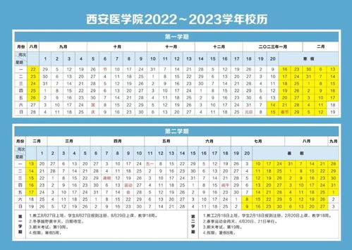 西医西西怎么组词