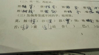 动物的舌怎么组词