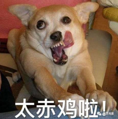 动物的舌怎么组词