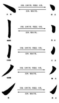 呼笔顺怎么写组词