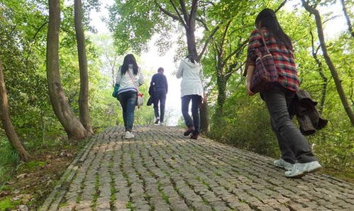 小度眼睛组词怎么写