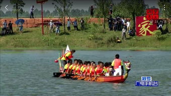 龙舟的招怎么组词