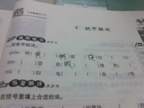 同音字纤怎么组词