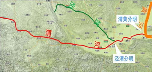 么会的脖怎么组词