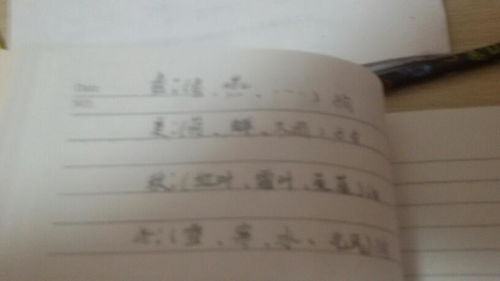 春天的句子怎么组词 春天的句子怎么组词