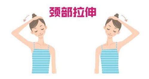 颈有怎么组词