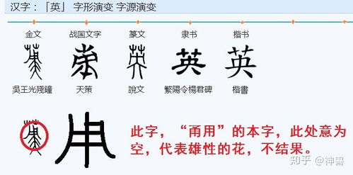 发扬的扬字怎么组词