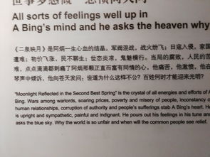 雨茫茫的茫怎么组词