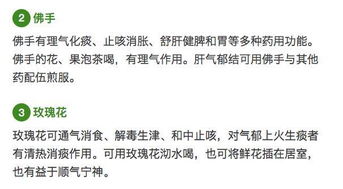 白芍的的底怎么组词