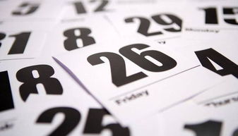 徐虹的徐怎么组词