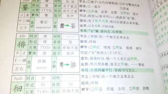 肯定的看你怎么组词