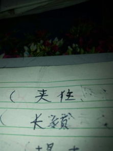 夹怎么组词组