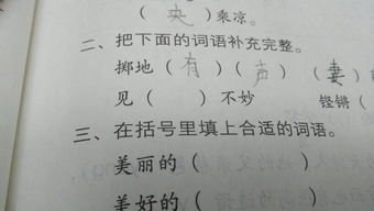 见字怎么组词语