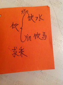 饮和饺怎么组词