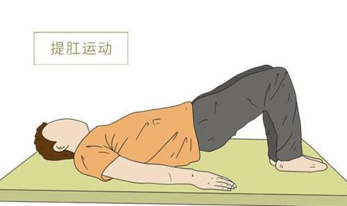 提纲的提肛怎么组词