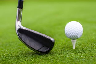 怎么组词捧 怎么组词捧